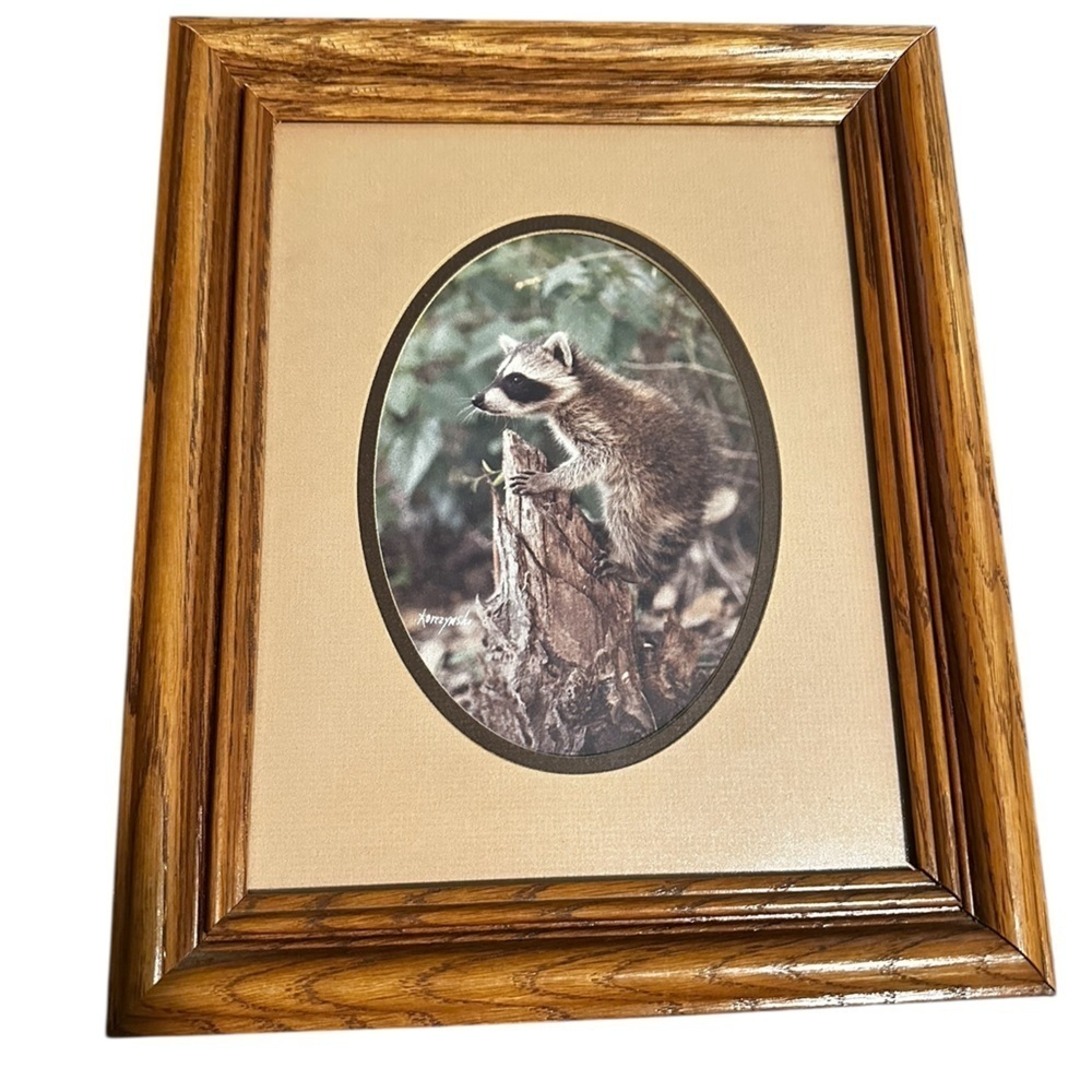 Vintage Framed Matted Set Of Two Baby Raccoon Photos - Picture 4 of 9